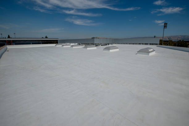 Best Roof Ventilation Installation  in Sherman, IL