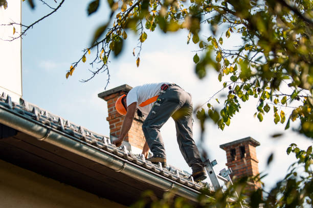 Professional Roofing Services in Sherman, IL