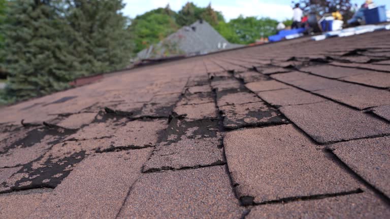 Best Gutter Installation and Repair  in Sherman, IL