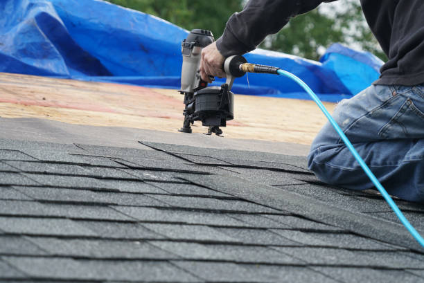 Best Roof Moss and Algae Removal  in Sherman, IL